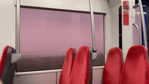 View from inside train